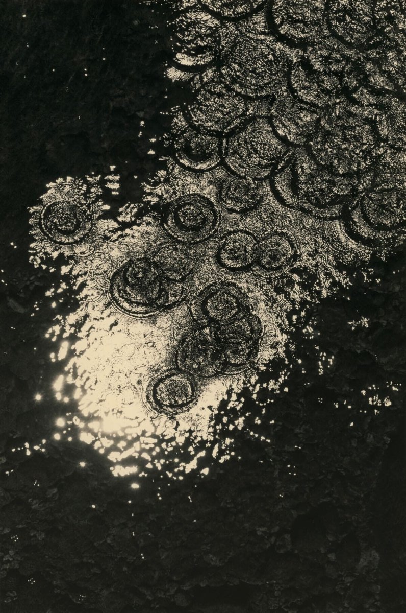 Fisheye Magazine tweet media