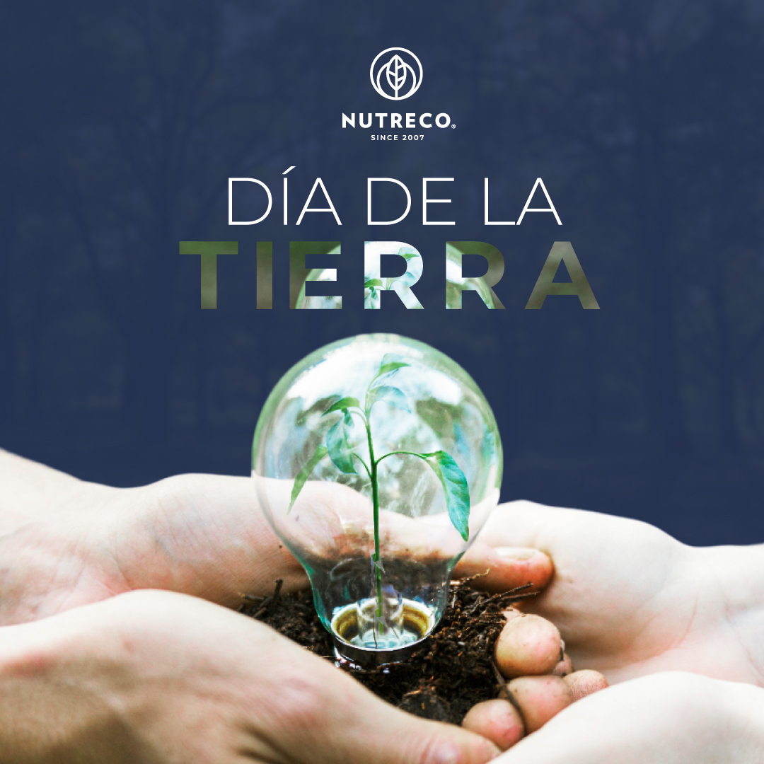 NutrecoSAS's tweet photo. El Día de la Tierra es un recordatorio de que todos somos responsables de cuidar nuestro planeta. ¡Hagamos nuestra parte para mantenerlo limpio y sano!

#DíaDeLaTierra #DíaMundialDeLaTierra https://t.co/p5TmVEW6m1