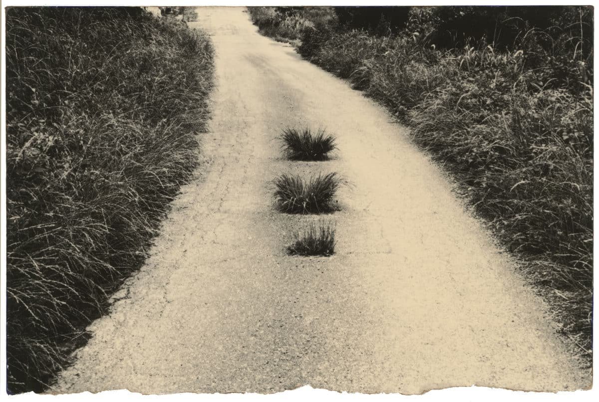 Fisheye Magazine tweet media