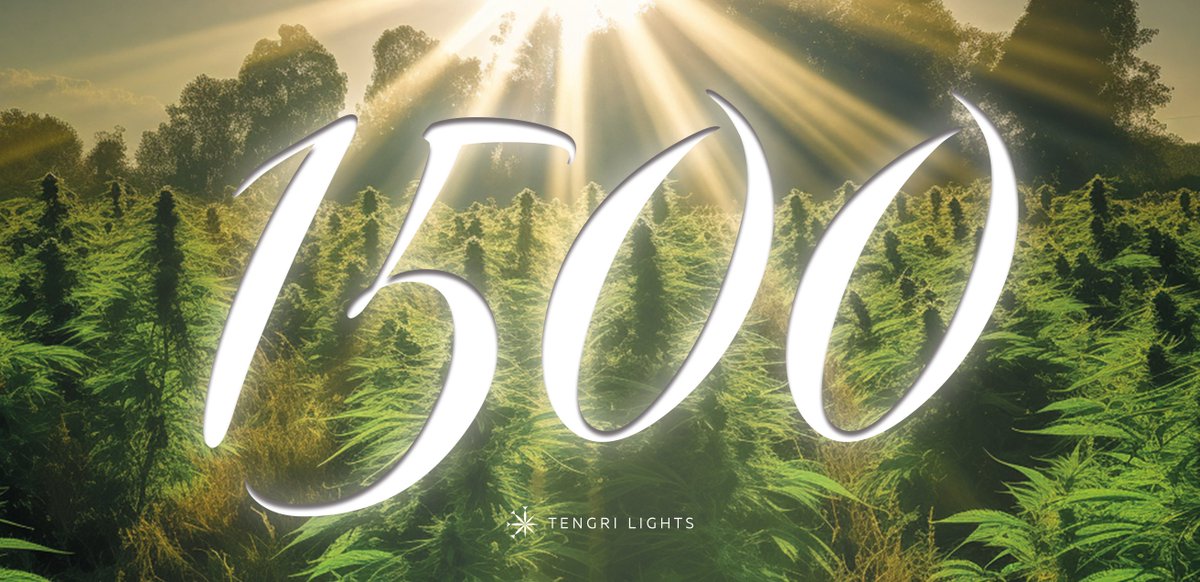 🎉 We just reached 1,500 followers! 🌱 Thank you all for your amazing support and for joining us on our mission to empower cultivators with our high-quality LED lighting technology! To many more fruitful harvests together! 🌿🌟 #TengriLights #CannabisCommunity