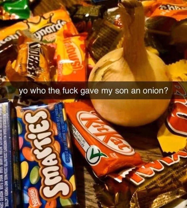 🕐HOURLY🕑 shitpost (@hourly_shitpost) on Twitter photo 