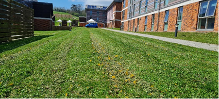 Dave Goulson tweet media