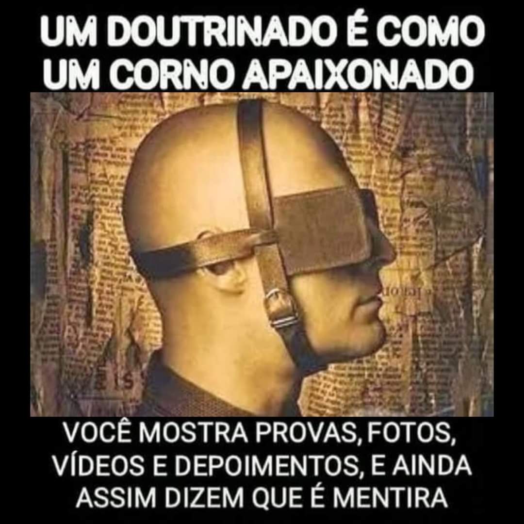 Dia dos namorados topo de bolo flork of cows com corações imagens  engraçadas meme casal apaixonado png, image size:1080x1080