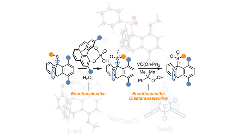 Angewandte Chemie (@angew_chem) on Twitter photo Catalyst Control over Threefold Stereogenicity: Selective Synthesis of Atropisomeric Sulfones with Stereogenic C-S Axes (Christof Sparr and co-workers) <a href="/christof_sparr/">Christof Sparr</a> #OpenAccess onlinelibrary.wiley.com/doi/10.1002/an⦠Catalyst Control over Threefold Stereogenicity: Selective Synthesis of Atropisomeric Sulfones with Stereogenic C-S Axes (Christof Sparr and co-workers) <a href="/christof_sparr/">Christof Sparr</a> #OpenAccess onlinelibrary.wiley.com/doi/10.1002/anā¦
