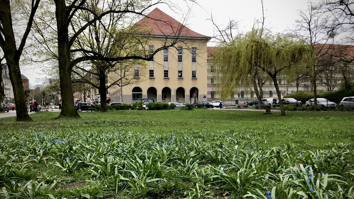 SPDfraktionSZ's tweet photo. Gleich beginnt die Sitzung der #BVVsz im #RathausZehlendorf! Unter anderem geht es um den Umbau des S-Bahnhofs Zehlendorf, mehr Verkehrssicherheit &amp; saubere Grünanlagen. Unsere Initiativen:

#FürSieVorOrt #Steglitz #Zehlendorf #Lokalpolitik
@TspSuedwest @Morgenpost @BerlinerWoche https://t.co/VyziP0wnSh