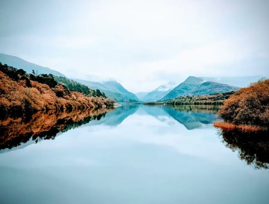 WeAcceptPets's tweet photo. Whilst staying at Glan-y-Bala Holidays have a day out on the dog-friendly Llanberis Lake Railway. The steam engines take you along Lake Padarn in the heart of Snowdonia.
https://t.co/PqkI1pZyt6 
#Llanberis #Caernarfon #Gwynedd #SelfCatering #PetsWelcome #DogFriendy #DogDayOut https://t.co/6UhNYW8bqI
