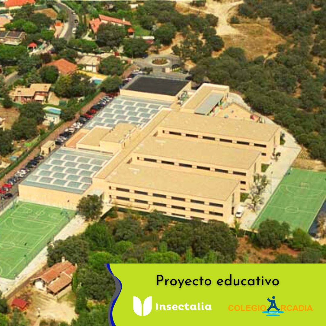 Insectalia tweet media