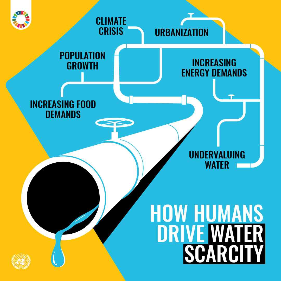 #WaterAction is action for

✅ecosystem restoration
✅climate justice
✅biodiversity conservation &amp; more

Get ideas on what #WaterAction you can take to make a difference: bit.ly/43QrVrx