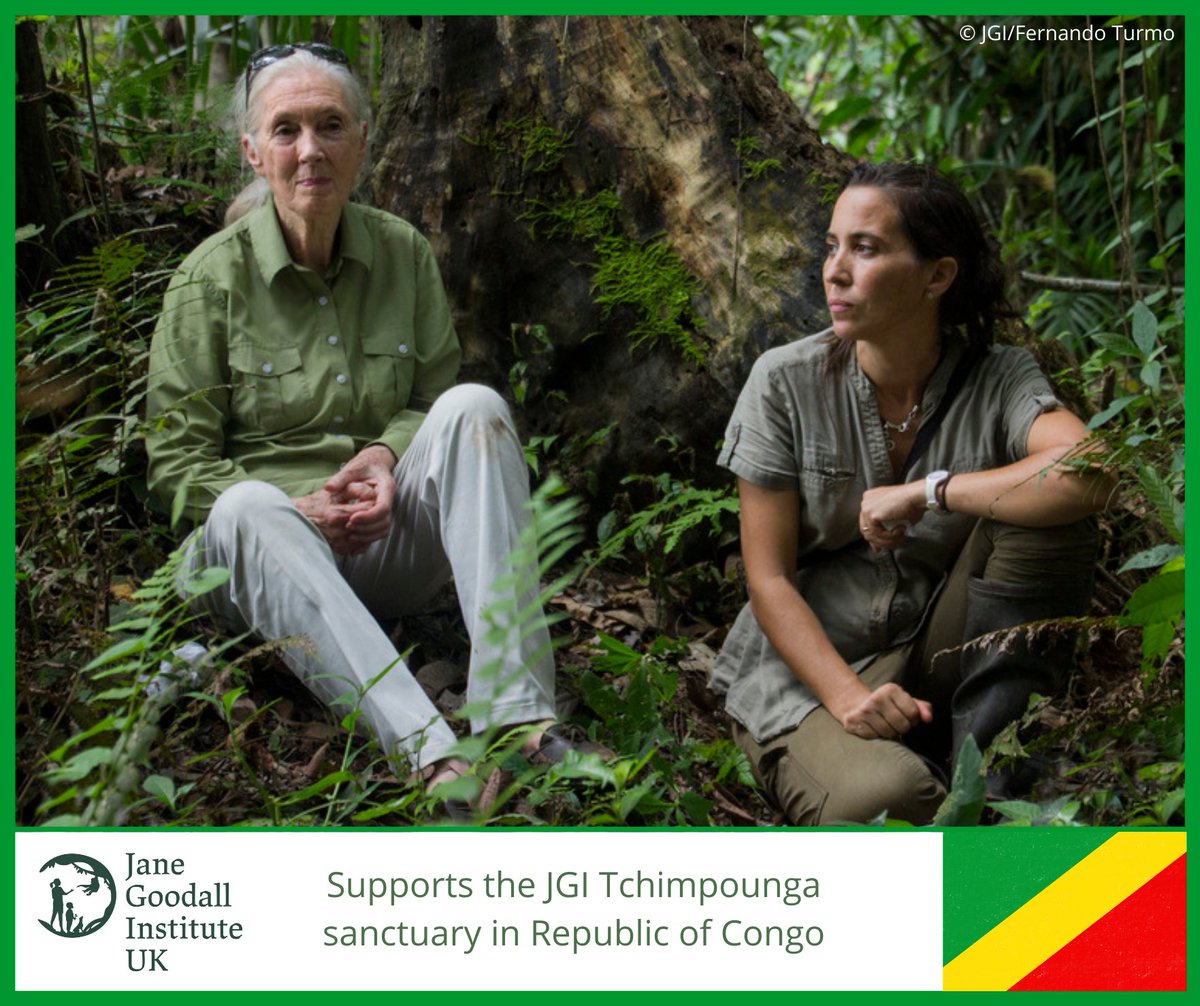JaneGoodallUK's tweet photo. Meet Dr Rebeca Atencia, ED of JGI in the Republic of the Congo & manager/head vet at Tchimpounga! In this previous #Hopecast episode Dr Jane & Rebeca share their passion for protecting animals who cannot speak out for themselves: https://t.co/rlezPL8rD5 https://t.co/WtS3pxLQMM