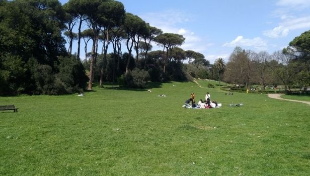 Arrivano i ponti di primavera, è allarme degrado per i comitati green: "Sino vigilate le aree verdi" - romah24.com/trieste-salari…