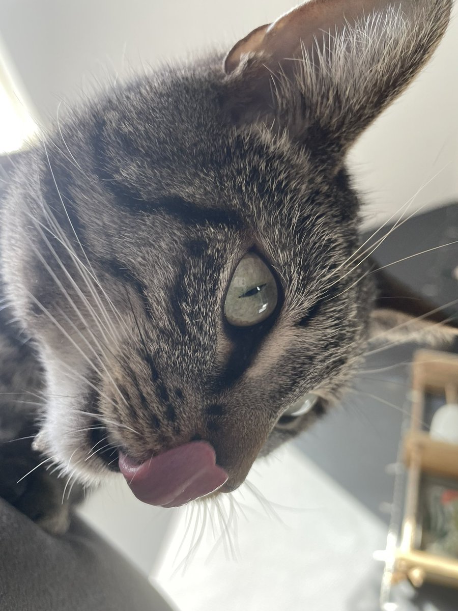 Sohuna_'s tweet photo. 🥰 https://t.co/PZeNqPMqnA
