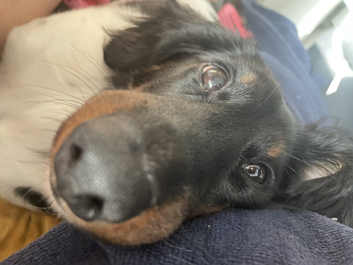 Sohuna_'s tweet photo. 🥰 https://t.co/PZeNqPMqnA