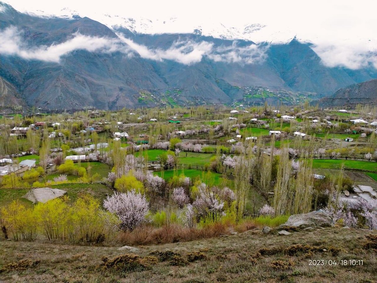 torkhowchiwar's tweet photo. Nature at its best 😍

📍 Upper chitral 

April 18, 2023         vs       April 19, 2023 https://t.co/f22WBjA1Iw