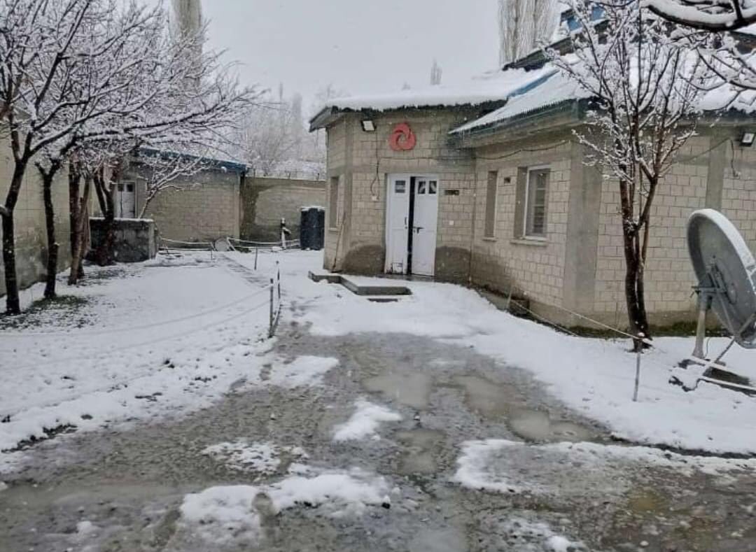 torkhowchiwar's tweet photo. Nature at its best 😍

📍 Upper chitral 

April 18, 2023         vs       April 19, 2023 https://t.co/f22WBjA1Iw