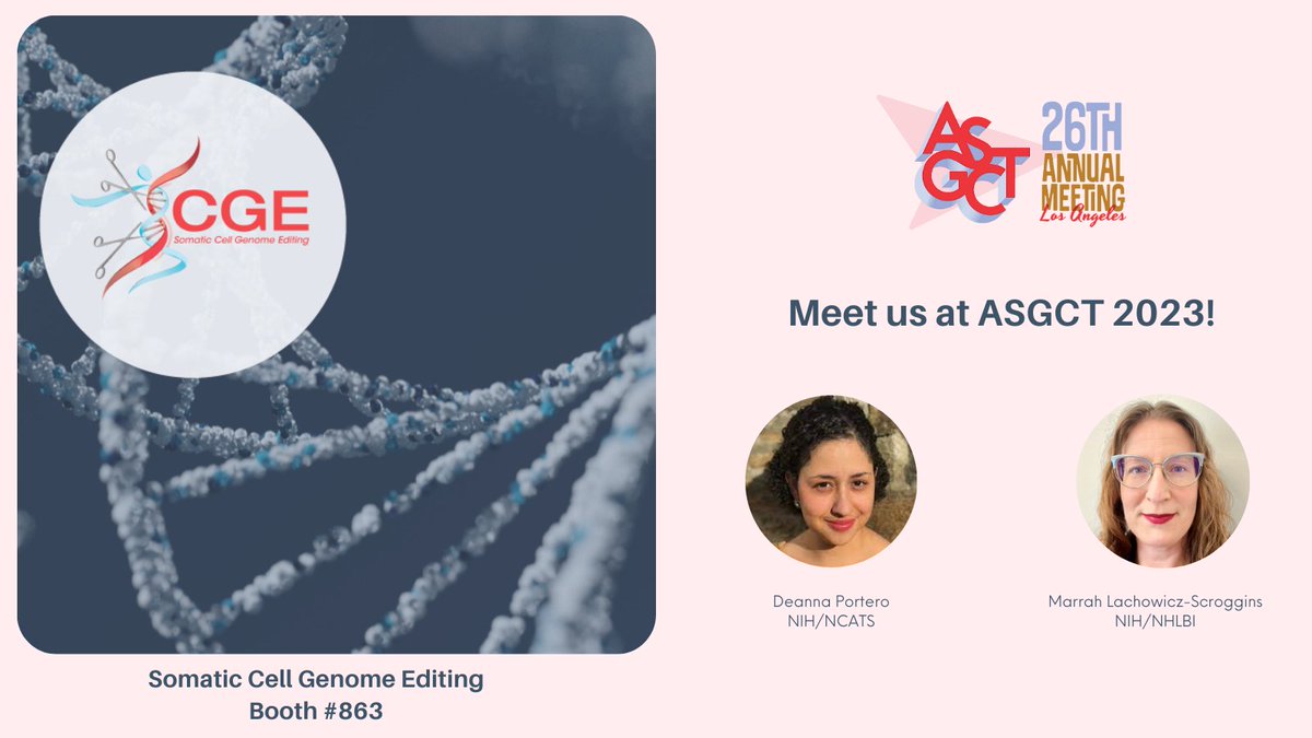 Visit SCGE at #ASGCT23! Meet with NIH Program staff, demo the SCGE Toolkit, and learn how SCGE researchers are accelerating the translation of genome editing technology into disease treatments. Find out more: scge.mcw.edu/asgct

#GenomeEditing #GeneTherapy 
@NIH_CommonFund