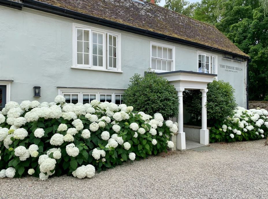 TheBBDirectory's tweet photo. There are 6 luxurious rooms available at The Three Hills. Book your stay & enjoy a relaxing stay & delicious food in the restaurant.
https://t.co/DDgGX0zuek
#Accommodation #Restaurant #AwardWinning #Family #Pets #Luxurious #Bartlow #Cambridge #Cambridgeshire @TheThreeHills2 https://t.co/6b7ifW2Yeb