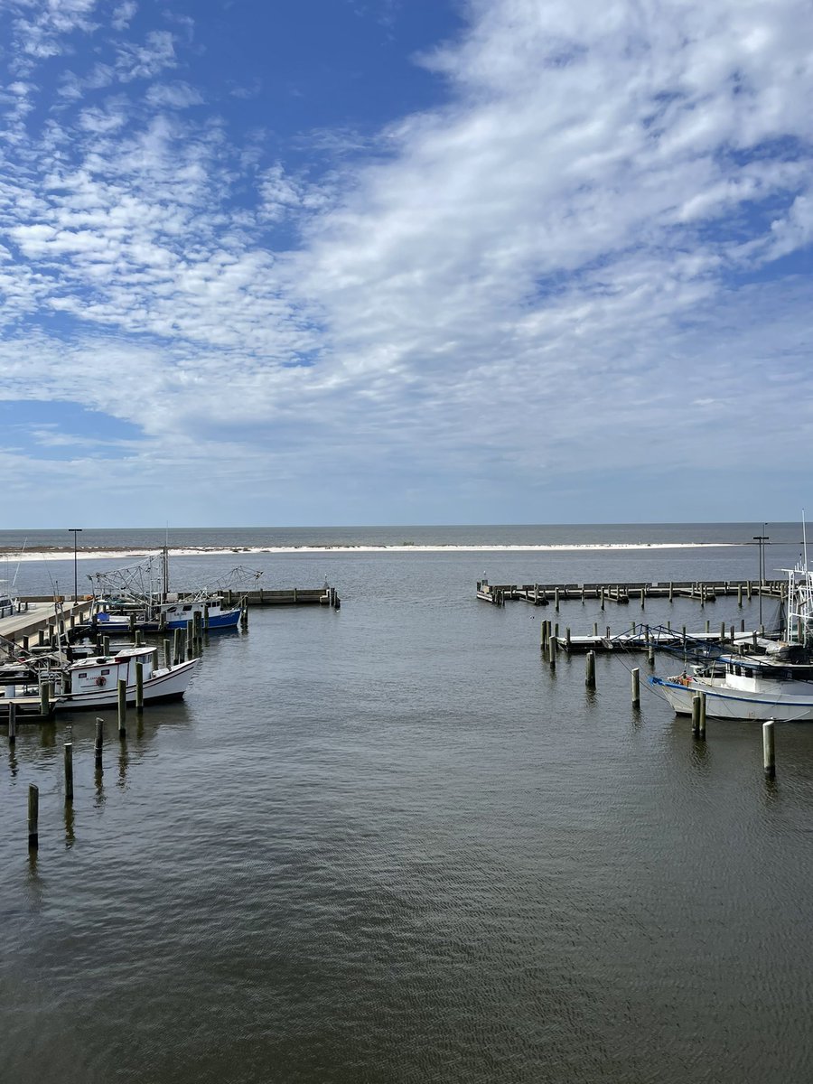 ADP_ChadNewell's tweet image. It was great to be on the beautiful MS Gulf Coast today to speak to our @ADPHattiesburg 2023 Leadership Pinebelt Class! In #TheBurg, we groom leaders! Thanks to @NicoleRuhnke &amp;amp; @samemac for Co-Chairing our Steering Committee!#NextGenTalent #Leadership