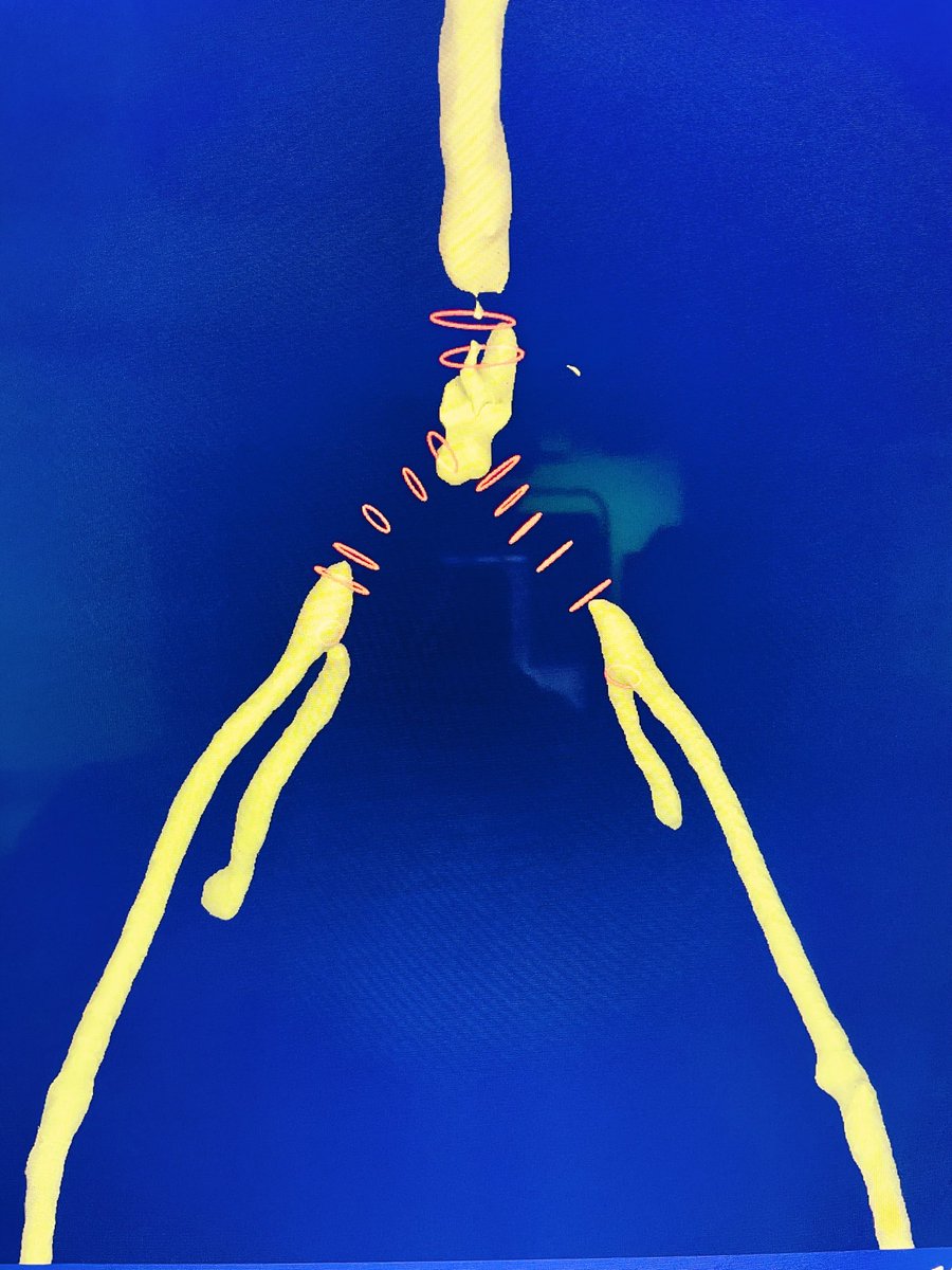 Patrick Vriens tweet media