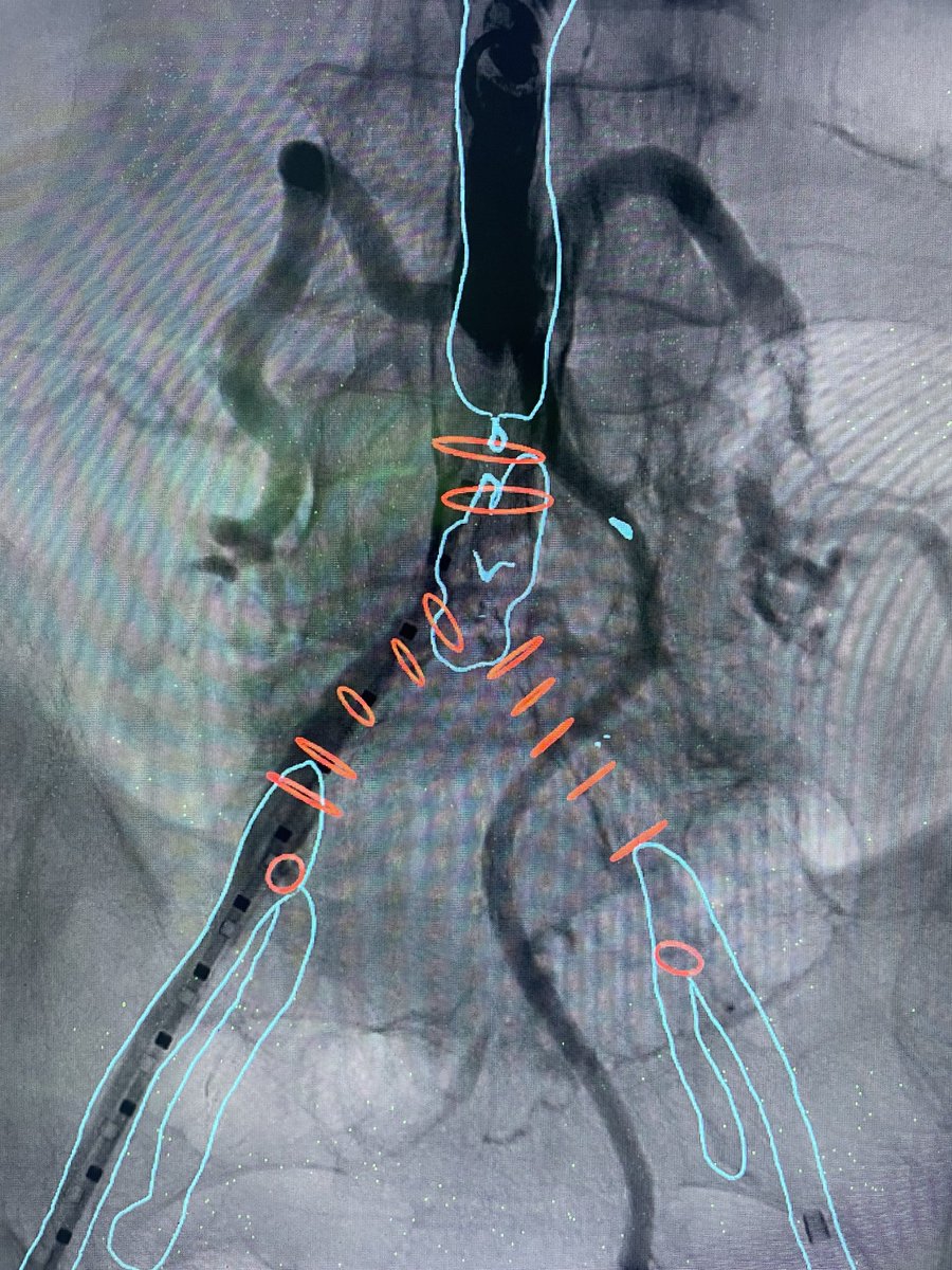 Patrick Vriens tweet media