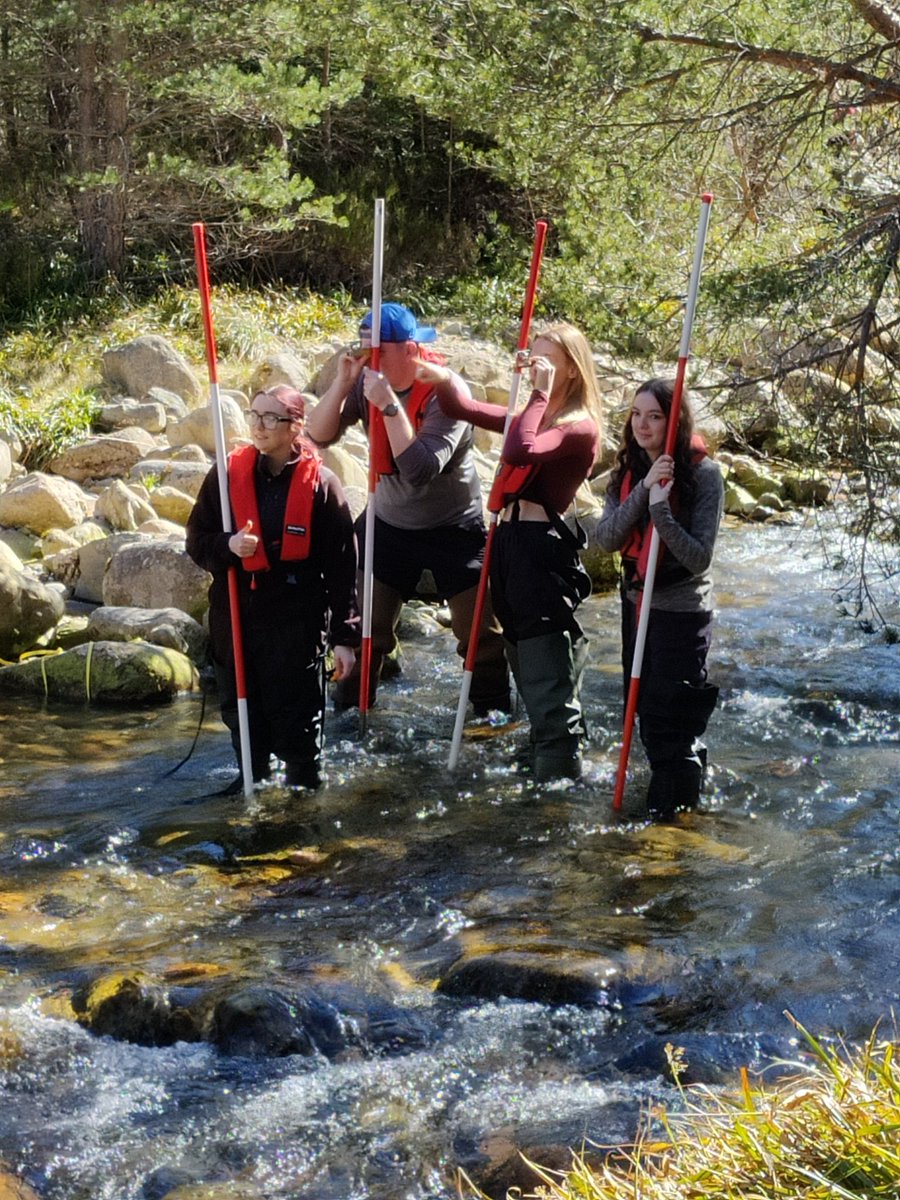 Mark Cutler tweet media