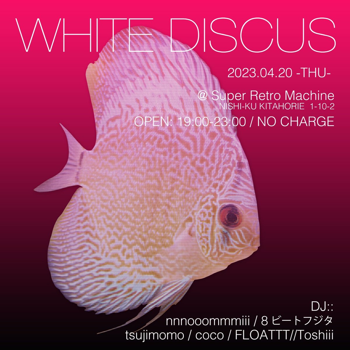 tsujimomo's tweet photo. White Discus
April 20, 2023
@Superretromachine

My music concept this time is "new metal beats".

#music #whitediscus #superretromachine #dj #club #bar #japan #osaka https://t.co/sKJ6FwJDv9