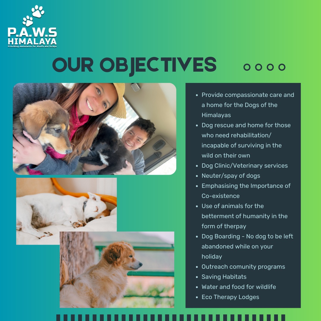 pawshimalaya's tweet photo. "Actions speaker louder than words. Our work is much deeper than words can express. Join us in making a co-existence environment for our four legged friend"🫠
#animals #animalwelfare #savethedogs #himalayandogs #animallover #dogsofinstagram #ngodogs #petlovers #adoptdontshop https://t.co/1ZFOaRieC8