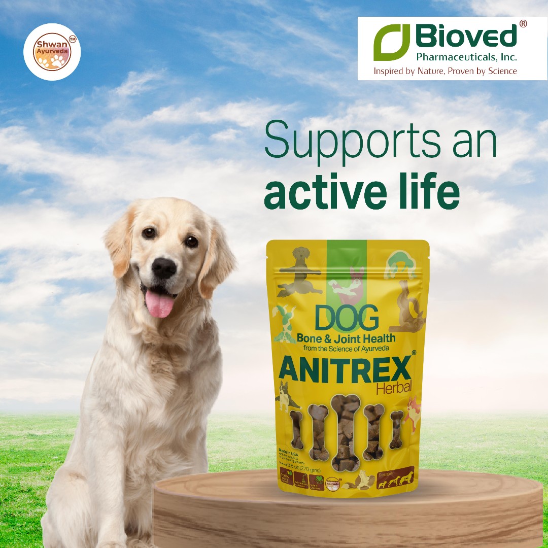 Anitrex helps support an active life.

#bioved #biovedpharma #healthybones #healthyjoints #healthy #bonesandjoints #anitrex #dog #doghealth #healthydog #herbal #natural #activelife