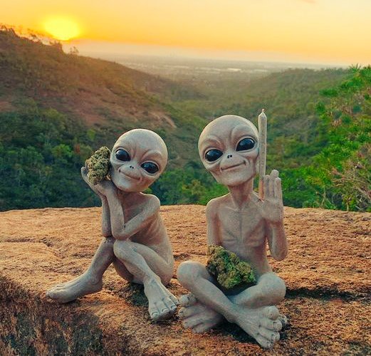 weedboa's tweet photo. 👽🍁💨 https://t.co/npP8Xz2UTl