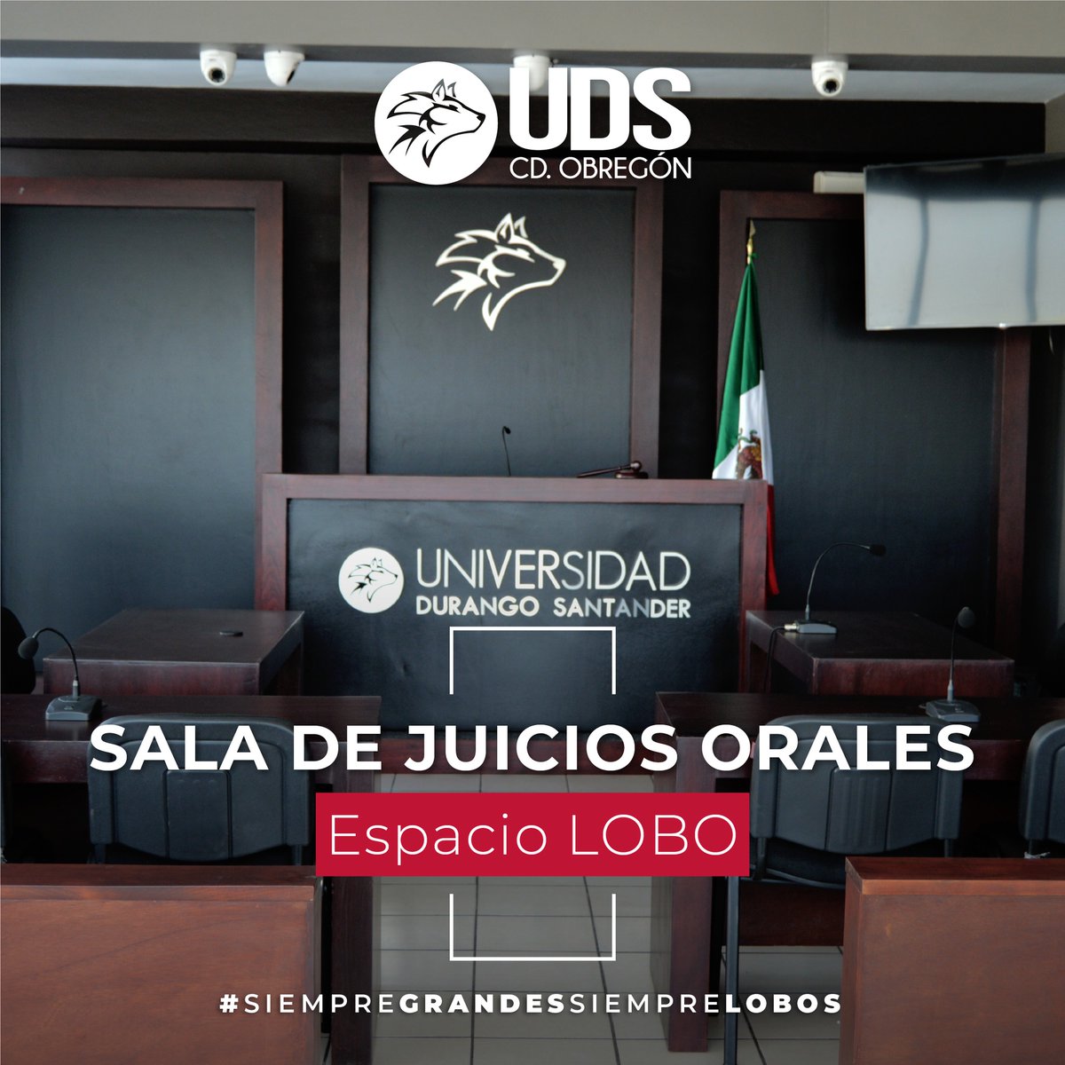 UDSOBREGON's tweet photo. UDS Campus Obregón cuenta con su Sala de Simulación de Juicios Orales donde los alumnos de la Licenciatura en Derecho y la Maestría en Juicios Orales realizan sus prácticas a lo largo de sus estudios.

#siempregrandes #siemprelobos #derecho https://t.co/pwVxC9qErp