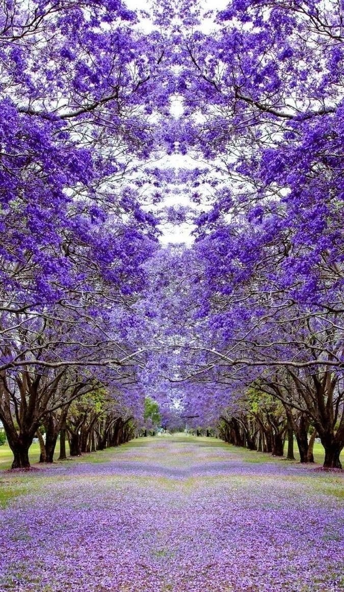 💜💜