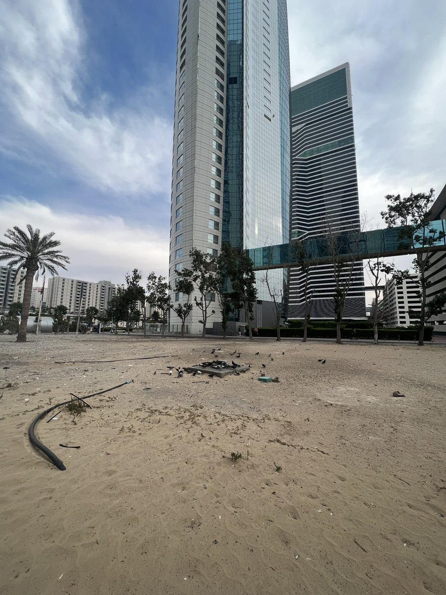 assatescassa's tweet photo. A Dubai anche i piccioni vanno al ristorante https://t.co/0SKuBmsylP