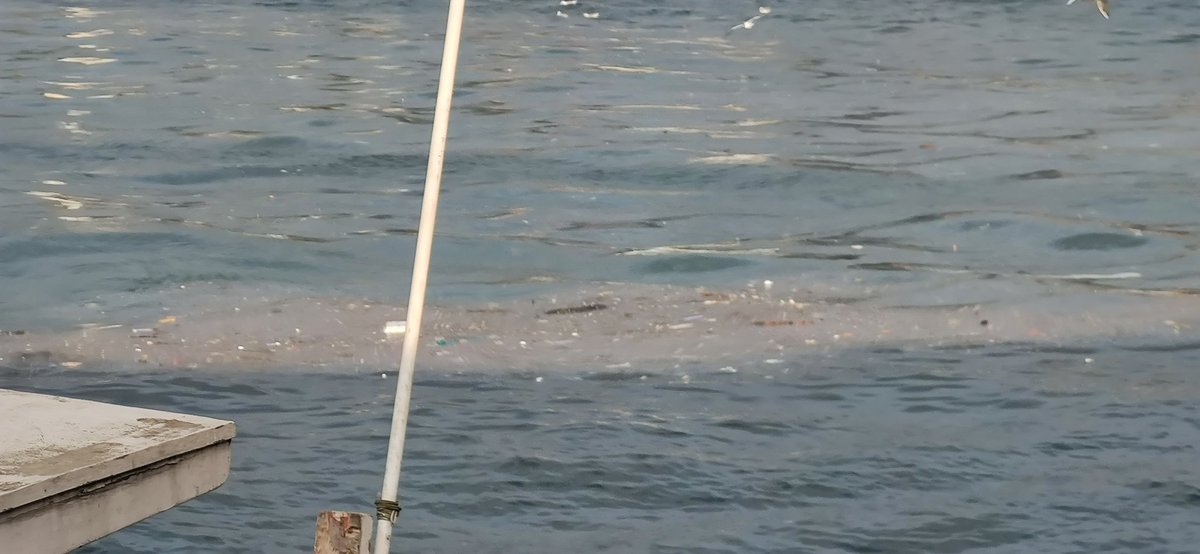 Yetkili arkadaşlar Temizleme teknesi mi yönlendirseniz  acaba.. Yer Kuruçeşme 
<a href="/IBBcozummerkezi/">İBB Çözüm Merkezi</a> <a href="/ekrem_imamoglu/">Ekrem İmamoğlu</a> <a href="/istanbulbld/">İstanbul Büyükşehir Belediyesi</a> <a href="/tcbuyuksehir/">AK Belediyeler</a>