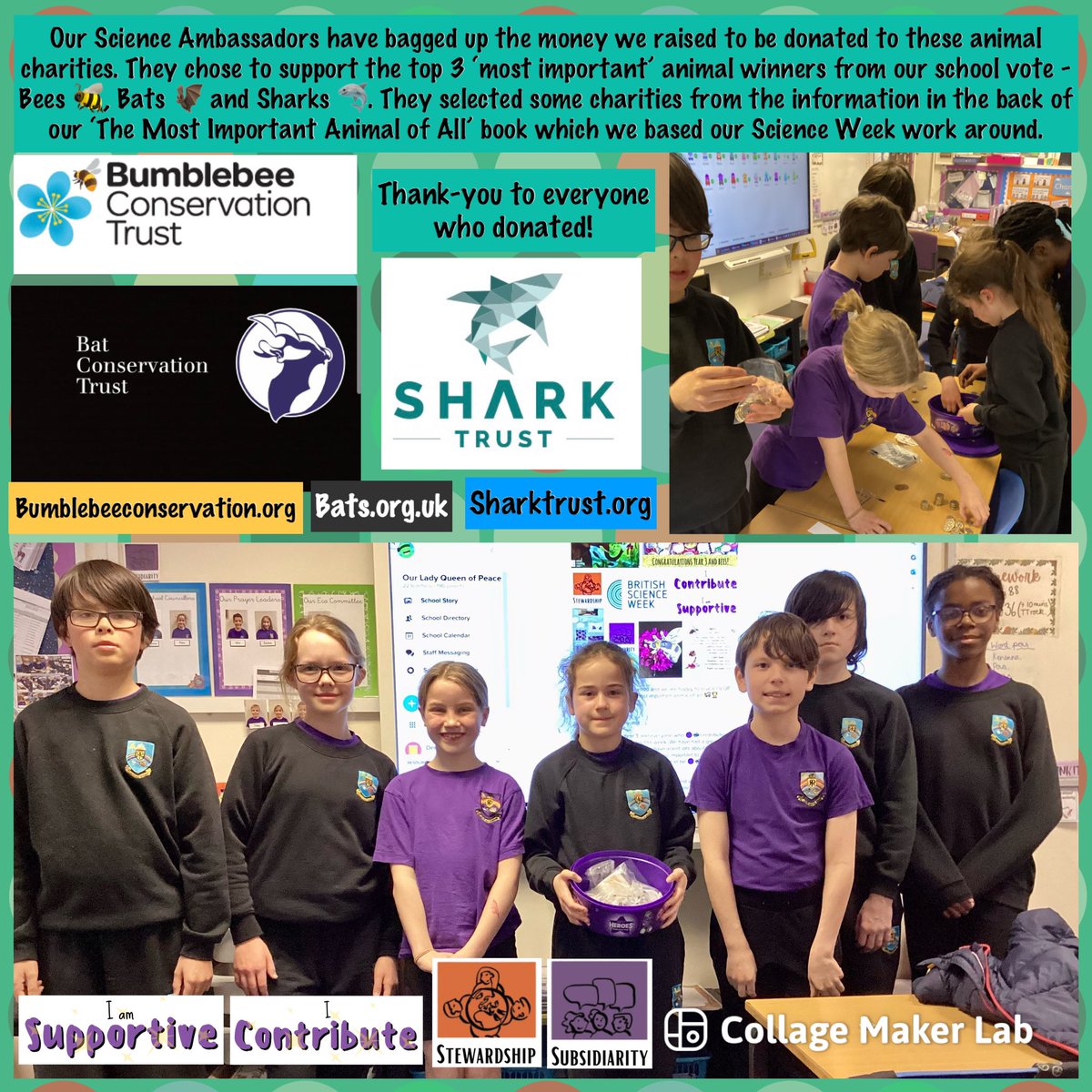 ourladyqop's tweet photo. We are ready to donate! We hope our 🟣💫contributions💫🟣 help to 🟣💫support💫🟣 these animals &amp; the work of the charities who protect them. Thank-you everyone who donated. @pennyworms @BumblebeeTrust @_BCT_ @SharkTrustUK #olqpscience #olqpcstsubsidarity #olqpcststewardship https://t.co/7bTSyHmCe1
