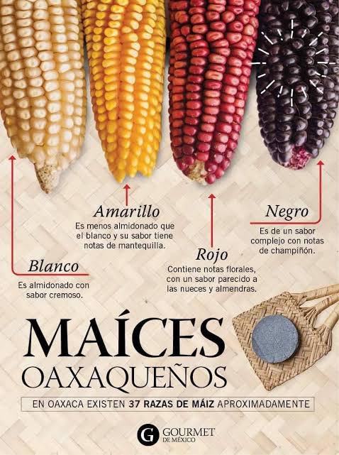 XochitlLopezS's tweet photo. Interesante! 
Saludos 😊🤗 https://t.co/f6DEj69OEN