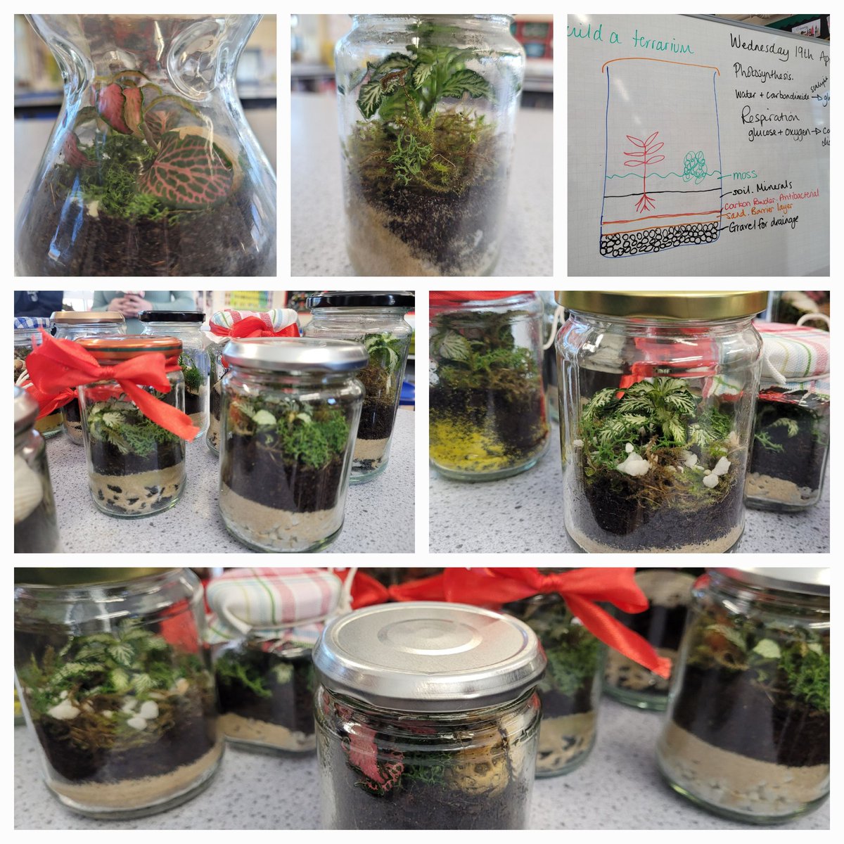 Science (@wyhighscience) on Twitter photo Tonight's exciting #STEMClub activity <a href="/WyHighAcademy/">Wymondham High Academy</a> was building jamjar terrariums. We talked about #ecosystems, and how important all the parts were working together #iteachbiology. Students have taken them home to nuture! Tonight's exciting #STEMClub activity <a href="/WyHighAcademy/">Wymondham High Academy</a> was building jamjar terrariums. We talked about #ecosystems, and how important all the parts were working together #iteachbiology. Students have taken them home to nuture!