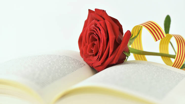 AnnaSerraMoia's tweet photo. S'acosta Sant Jordi 2023 , una festa on la cultura i l'amor van lligats de la mà. Esperem que plogui o no plogui ? S'hi ha de fer que sigui de nit per no espatllar la festa. https://t.co/IbyG1BcINj