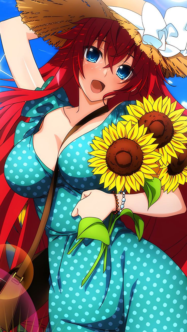 Rias Gremory  Highschool dxd, Dxd, High school