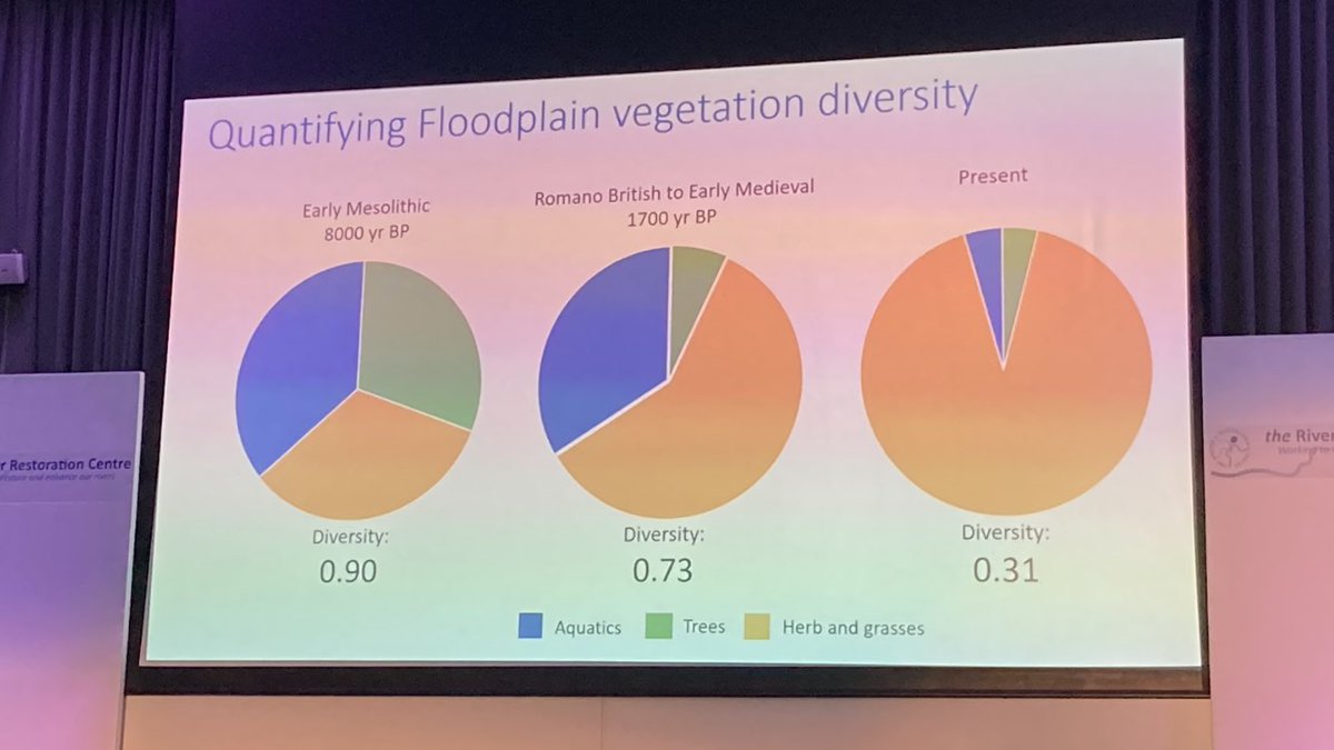 Southesknews's tweet photo. Wow! Most sobering and fascinating fact of the day @The_RRC conference..the decline in #riparian flora diversity over 8000 yrs.. pollen samples providing evidence.. zoom in..can only imagine how this #chalkstream would’ve been 🐝🌼 https://t.co/Gb8B1qOOyM