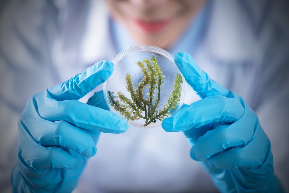 📢#Recerca i #Universitats insta al Comitè per a la Integritat de la Recerca a investigar el canvi d’adscripció preferent d’investigadors de centres catalans a institucions saudites

➡ Objectiu: preservar la integritat de la recerca a #Catalunya
➕ℹ🔗: ja.cat/adjnX