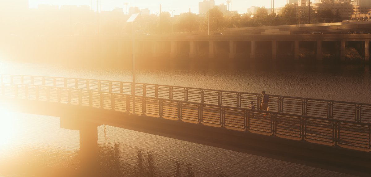 Oreste Mercado tweet media