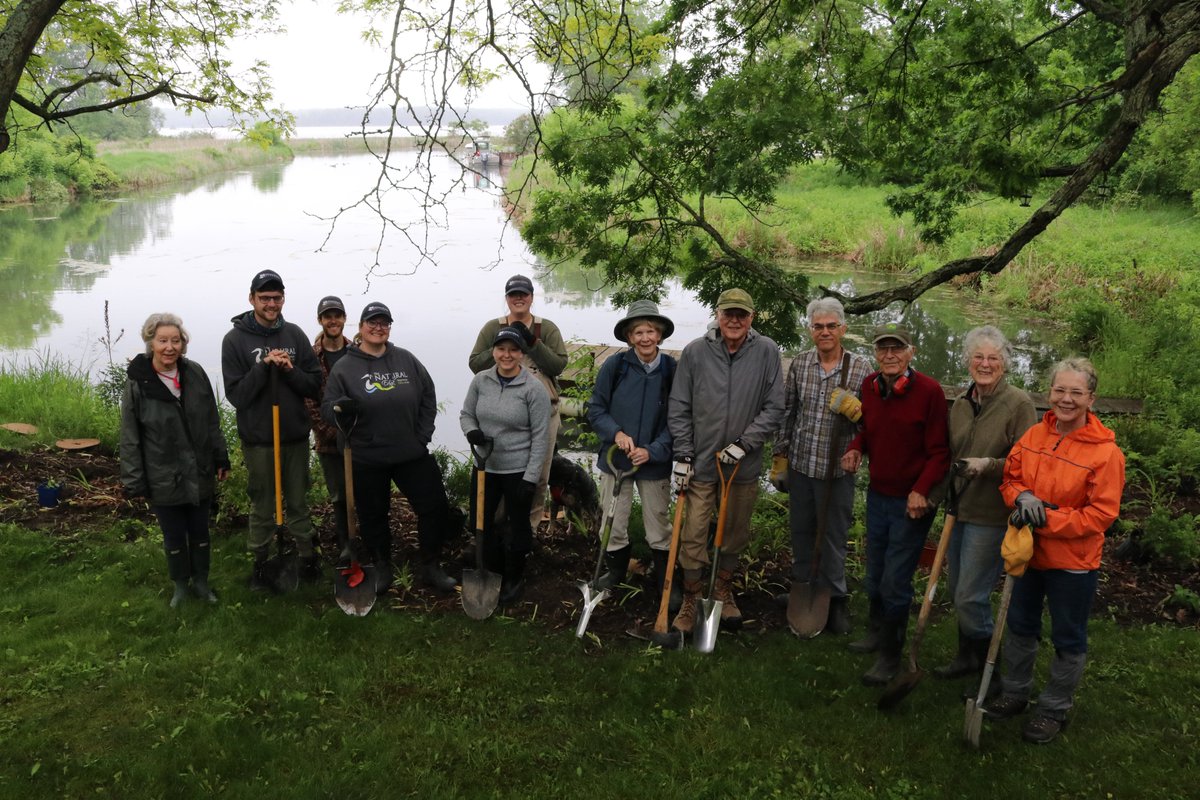 While this week is #NationalVolunteerWeek, truly every week is volunteer week at Watersheds Canada! We are thankful to the hundreds of volunteers across the country who are leading local change in restoring riparian habitat.
Pictured: Natural Edge shoreline planting in Eastern ON