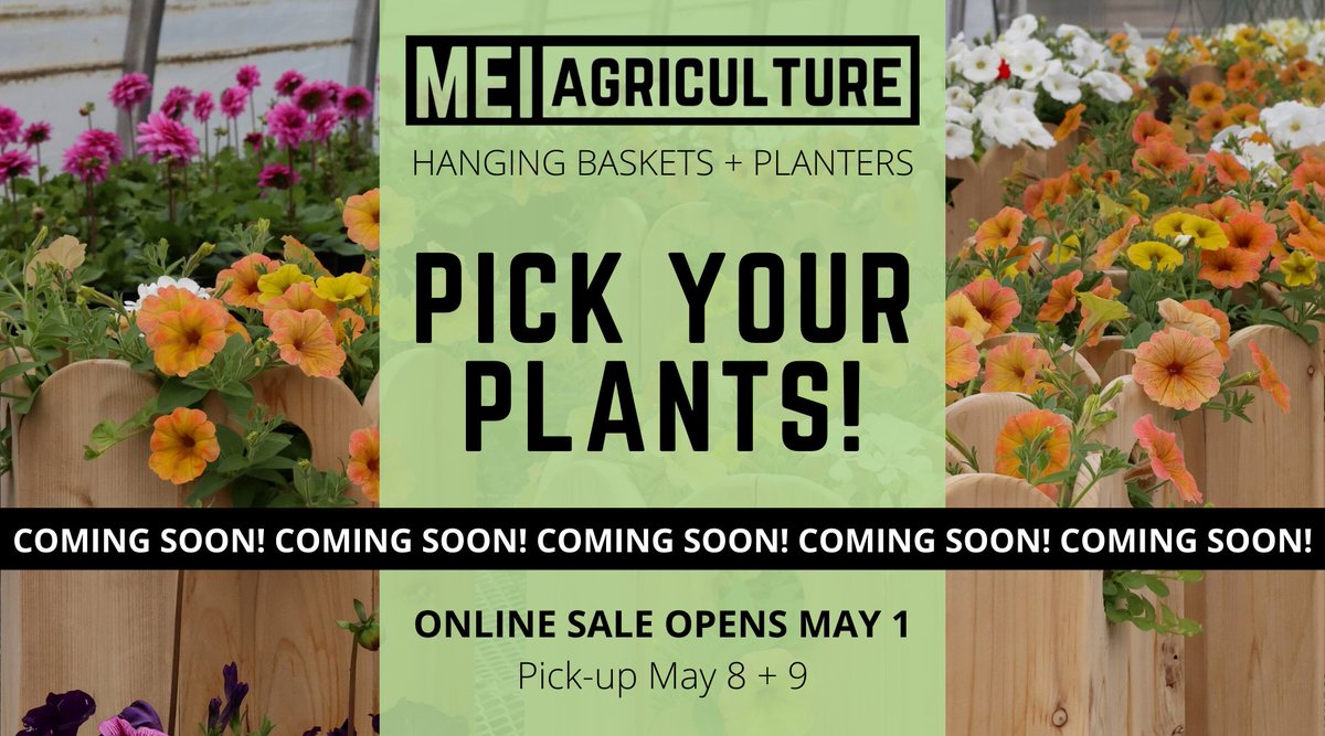 The annual MEI Agriculture PLANT SALE is coming soon! Online sales open May 1, with a variety of hanging baskets and planters full of beautiful blooms.

A big thanks to MEI Agriculture 12 &amp; Woodworking classes for planting, building &amp; providing beauty for our gardens this spring!