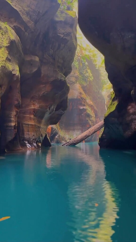 TriplouIndia's tweet photo. Don’t forget to explore this place when you are in Meghalaya❤️
📍 Wari Chora 
Reel credits: @born_hypergirl

#triplou #reels #instagramreels #reelsinstagram #warichora #meghalaya #meghalayatourism #incredibleindia https://t.co/vQ8Bk5ATxB https://t.co/AmZg5GY6B5