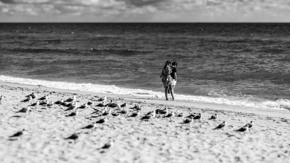 #MiamiBeachInBW #YoungLove #SeasideMoments #BlackAndWhitePhotography #BeachLife #BirdWitnesses #MonochromeMemories #SandsOfLove #BeachVibes #MiamiMoments #CoastalRomance #CoupleGoals #FeetInTheSand #BirdsAndBeach