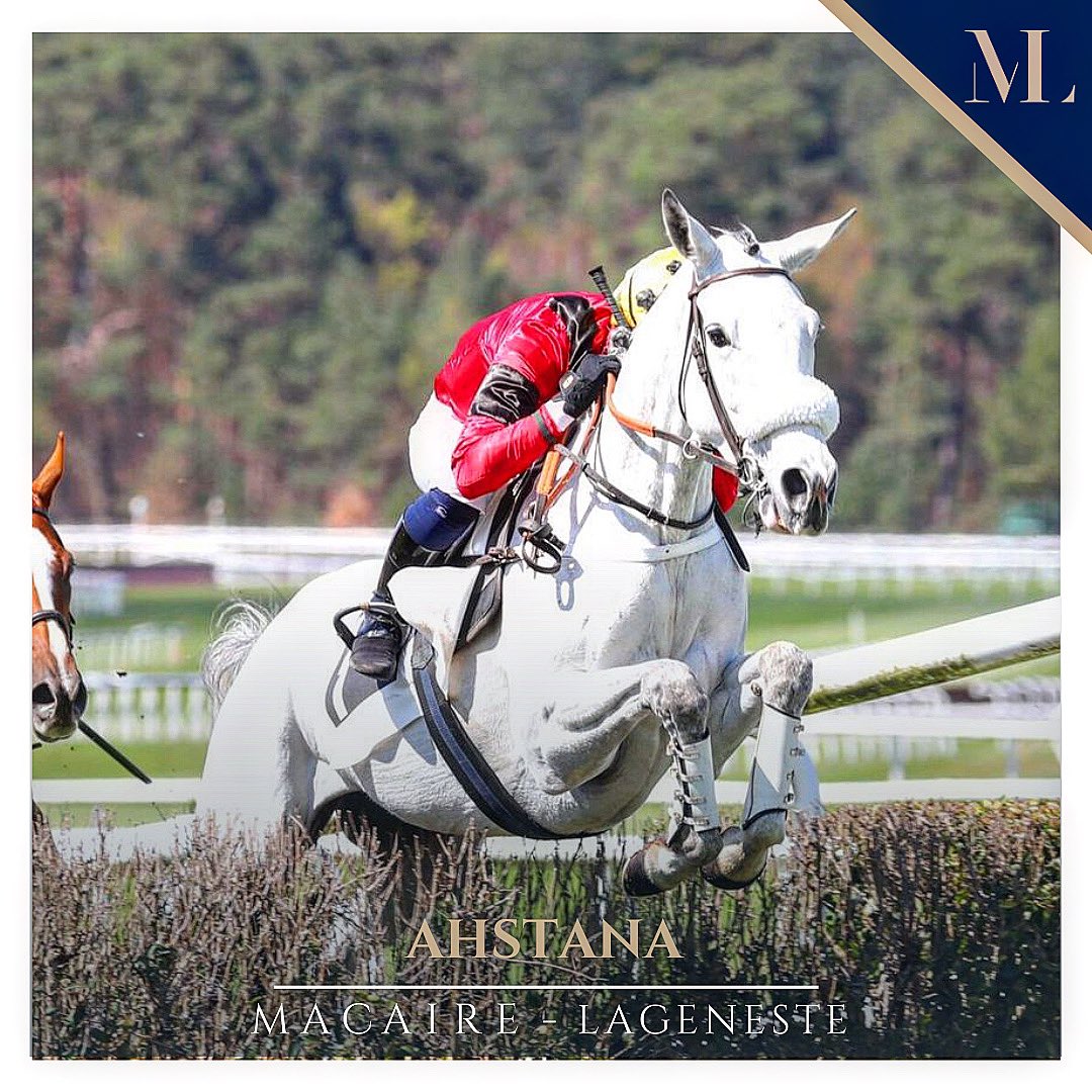 HDL_GM_Racing's tweet photo. | 𝘈𝘚𝘏𝘛𝘈𝘕𝘈 𝘛𝘈𝘓𝘌𝘕𝘛𝘜𝘌𝘜𝘚𝘌 |
La jolie grise s’est envolée ce jour, sur l’Hippodrome de la Solle, laissant sur place ses adversaires dès l’amorce du dernier tournant. Simple formalité pour cette fille de Gleneagles, menée à la victoire par Lucas Zuliani. 
@pilarski20 https://t.co/RypPiuedKN