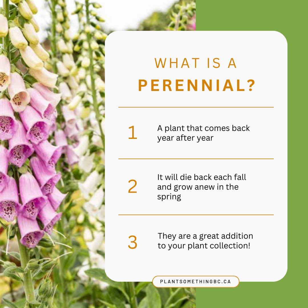 Plant Something Together tweet media