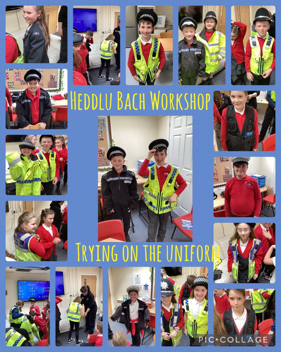 Pengam Year 5 tweet media