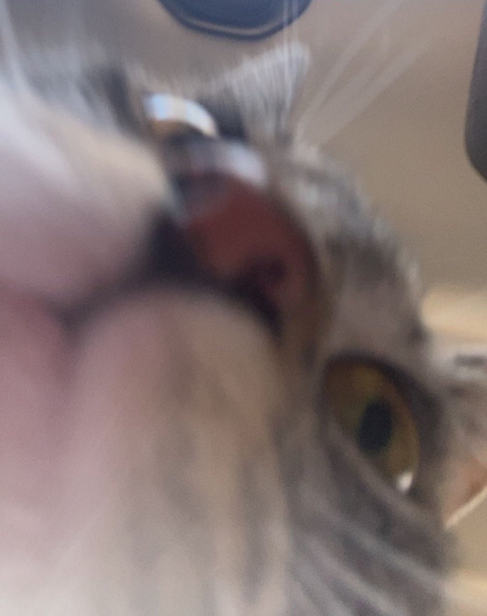 eevbav's tweet photo. *sniff* https://t.co/iorcXRWHEW