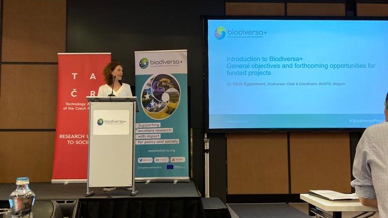 FRCTAzores's tweet photo. #FRCTAzores is participating as a funding entity in the Kick-off meeting of the BiodivProtect call of @BiodiversaPlus partnership in Prague. 

In this call, FRCT funds 4⃣projects involving Azorean scientific teams 👉@biodiv_DarCo, @ewhale_dna, #EUROPAM and @eurosyng. https://t.co/wfJvkMCgLs