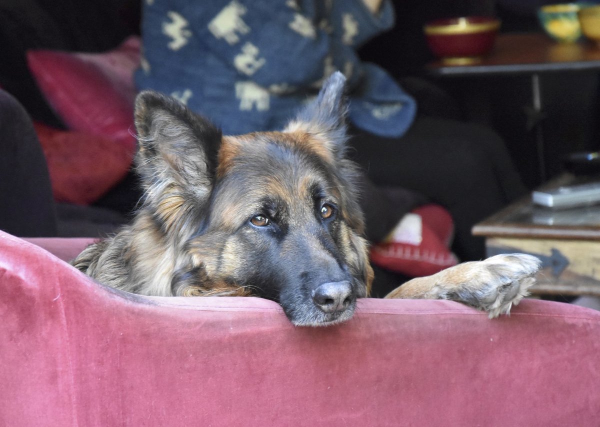 Neil Sutton tweet media